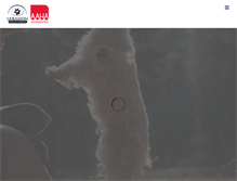 Tablet Screenshot of lebanonanimalhospital.com